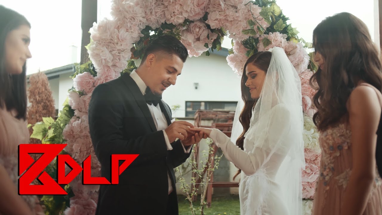 Bogdan DLP × Theo Rose — Vina Mea